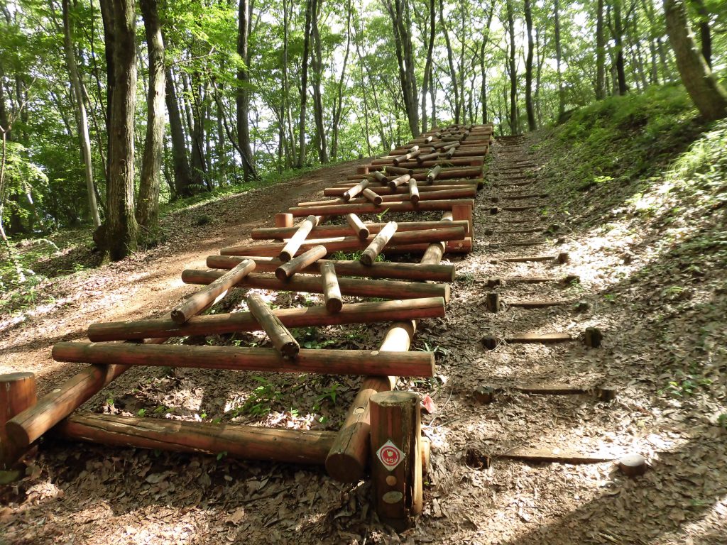 木を上っていくアスレチック／狭山緑地・フィールドアスレチック（東京都／東大和市）