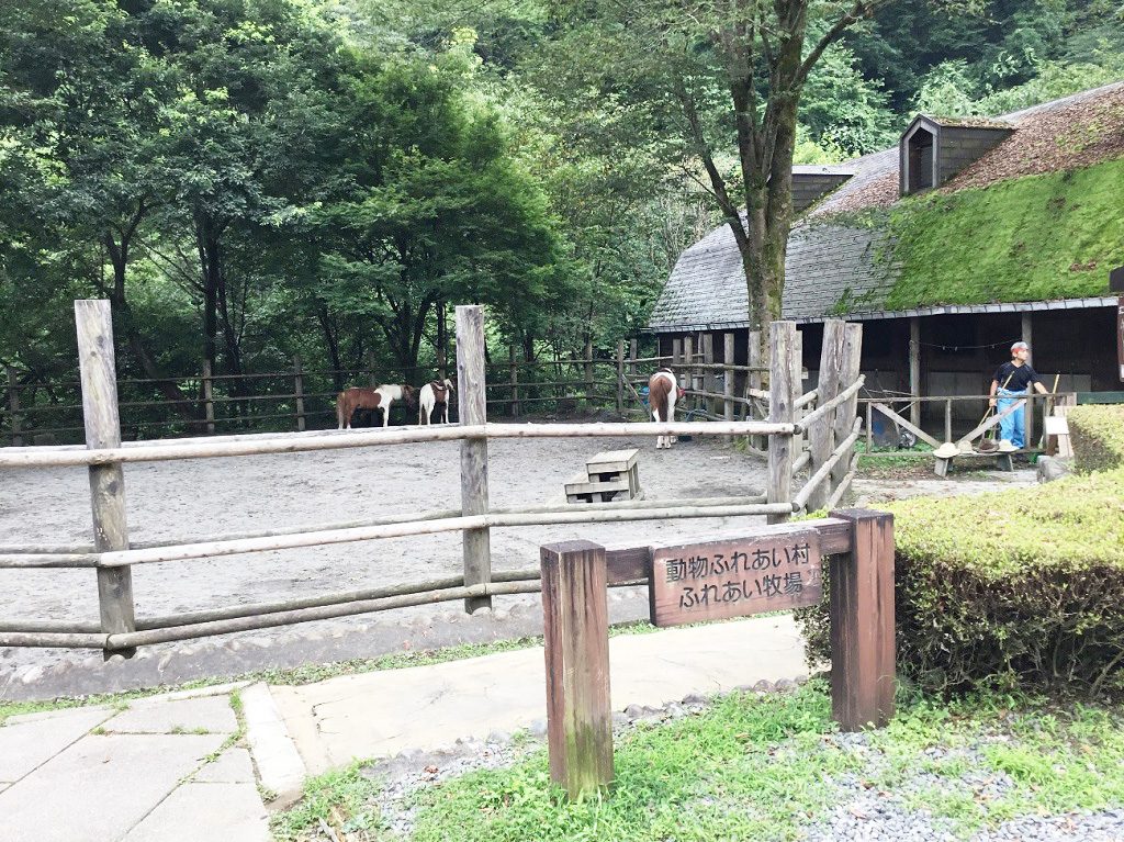 ふれあい牧場の馬／夕やけ小やけふれあいの里（東京都/八王子市）