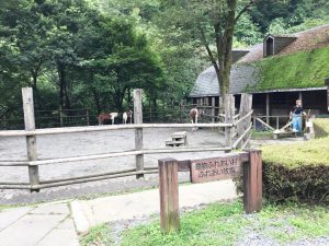 ふれあい牧場の馬／夕やけ小やけふれあいの里（東京都/八王子市）