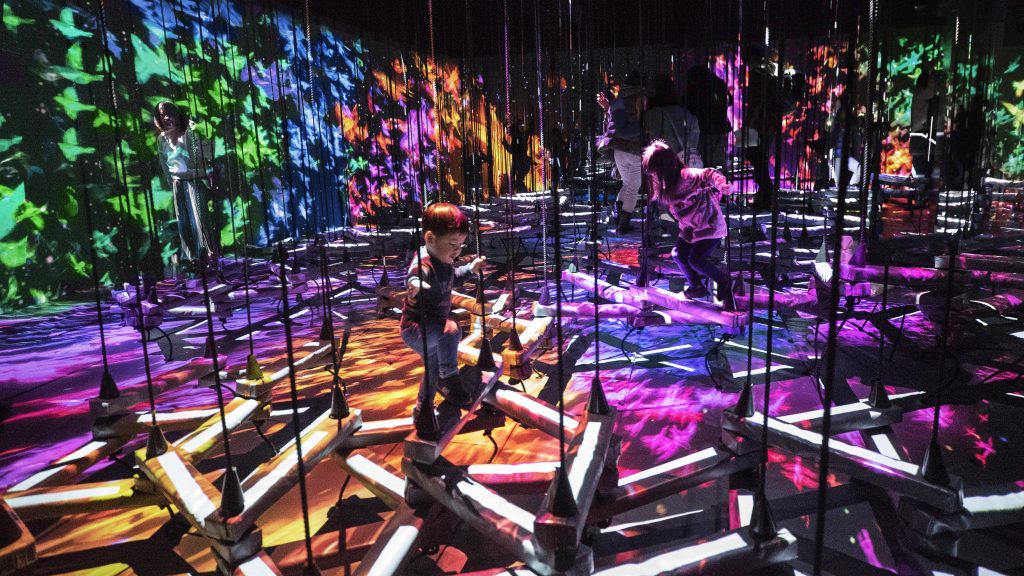 エアリアルクライミング/チームラボボーダレス(東京都/お台場)