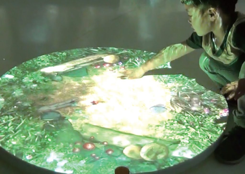 草村で昆虫採集も!/あそびパークPLUSイオンレイクタウン店(埼玉県越谷市)