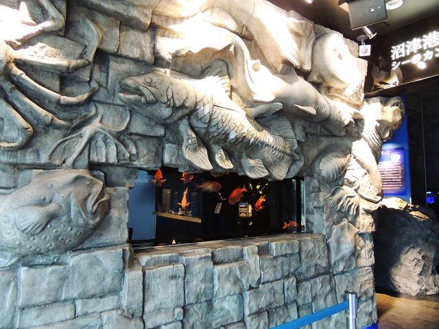 ウエルカム水槽/沼津港深海水族館 シーラカンス・ミュージアム（静岡県／沼津市）
