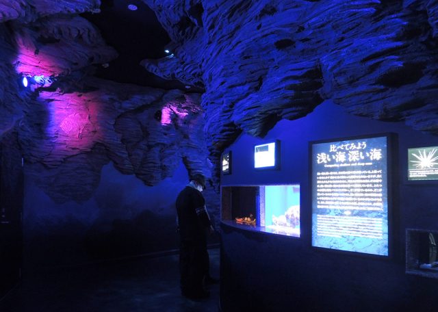 深海にいるような館内/沼津港深海水族館 シーラカンス・ミュージアム（静岡県／沼津市）