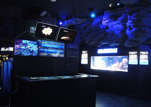深い海エリア/沼津港深海水族館 シーラカンス・ミュージアム（静岡県）