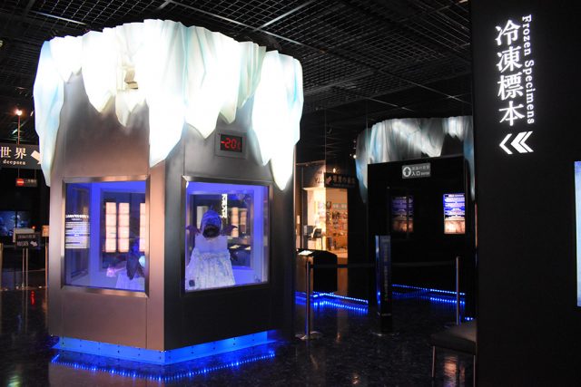 冷凍標本の入口/沼津港深海水族館 シーラカンス・ミュージアム（静岡県／沼津市）