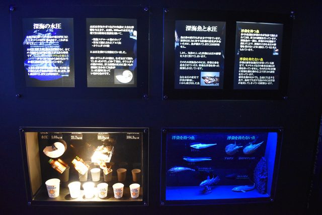 深海と水圧の解説パネル/沼津港深海水族館 シーラカンス・ミュージアム（静岡県／沼津市）