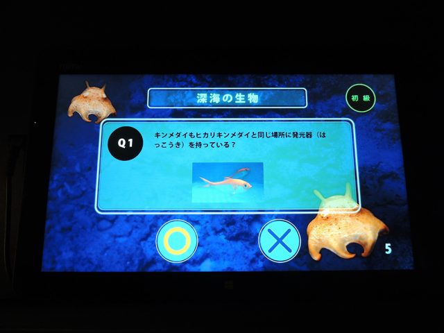 深海クイズ/沼津港深海水族館 シーラカンス・ミュージアム（静岡県／沼津市）