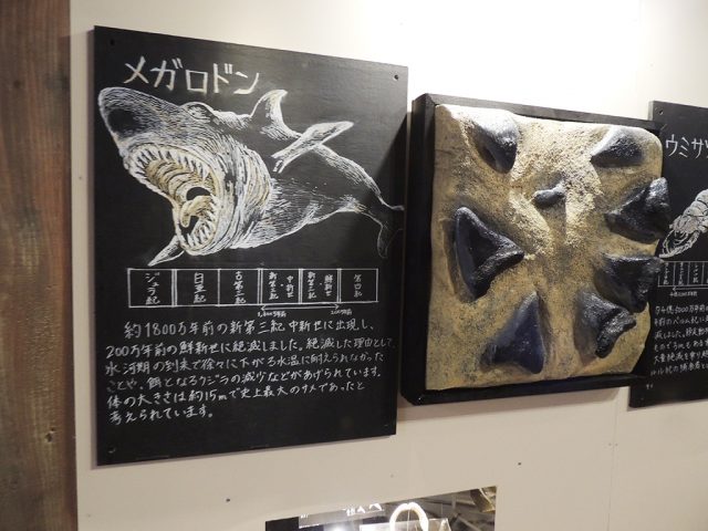 メガドロンの説明/沼津港深海水族館 シーラカンス・ミュージアム（静岡県／沼津市）