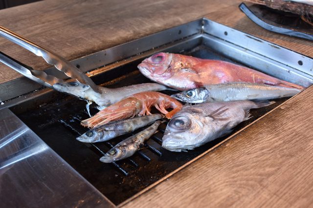 駿河湾深海おまかせ盛り/沼津港深海水族館 シーラカンス・ミュージアム（静岡県／沼津市）
