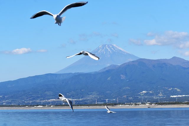 船上から見える富士山/沼津港深海水族館 シーラカンス・ミュージアム（静岡県／沼津市）
