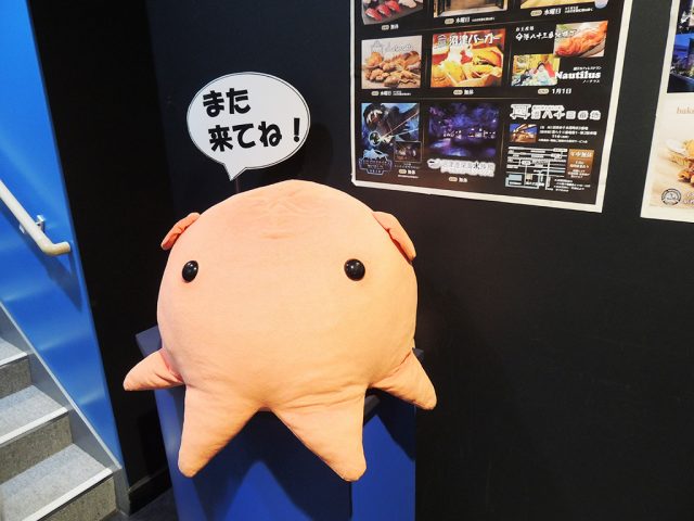 出口のメンダコぬいぐるみ/沼津港深海水族館 シーラカンス・ミュージアム（静岡県／沼津市）