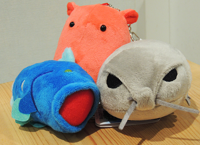 3大アイドルのグッズ/沼津港深海水族館 シーラカンス・ミュージアム（静岡県／沼津市）