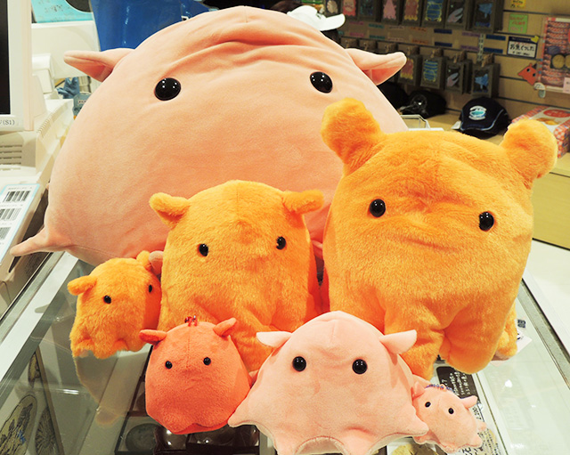 メンダコのぬいぐるみ沼津港深海水族館 シーラカンス・ミュージアム（静岡県／沼津市）