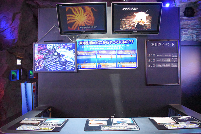 イベントスペース/沼津港深海水族館 シーラカンス・ミュージアム（静岡県／沼津市）