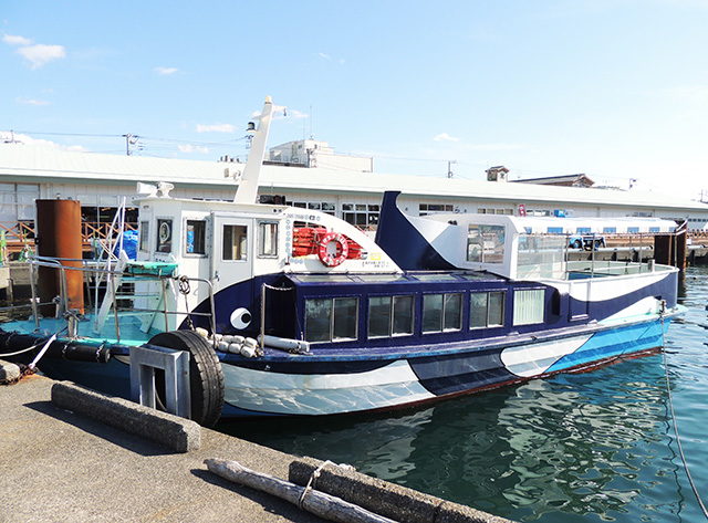 遊覧船/沼津港遊覧船 千鳥丸(静岡県/沼津市)