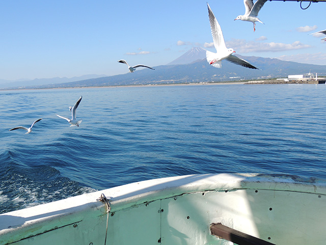 駿河湾の先に見える富士山/沼津港遊覧船 千鳥丸(静岡県/沼津市)