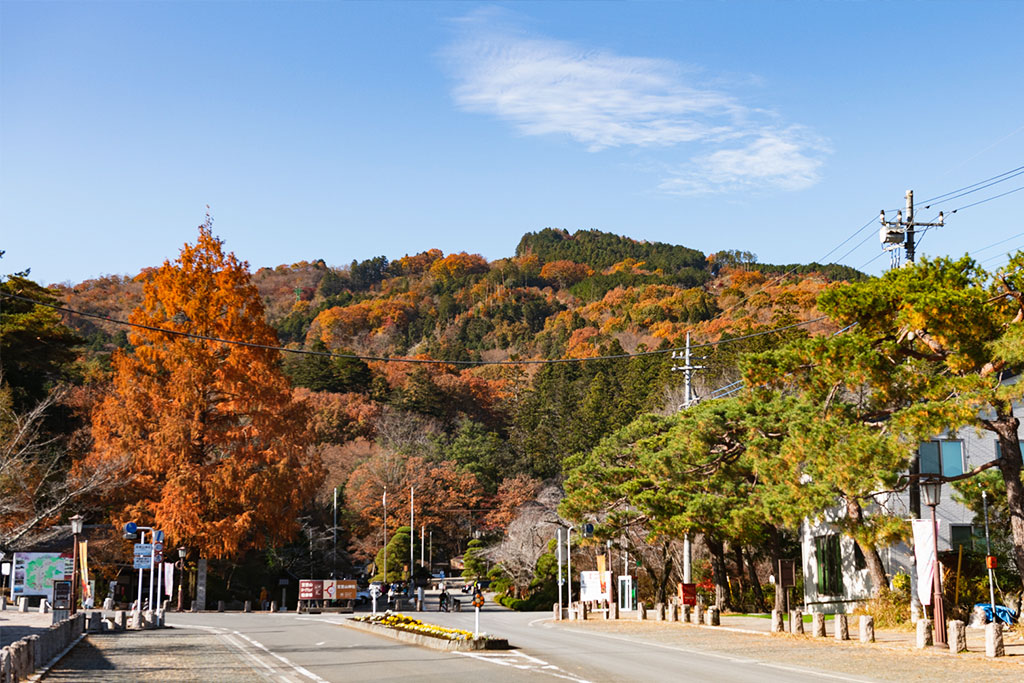 紅葉で色づく山々
