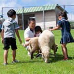 宮崎県の無料スポット・遊び場5選！牧場や博物館、コカ・コーラの工場見学など