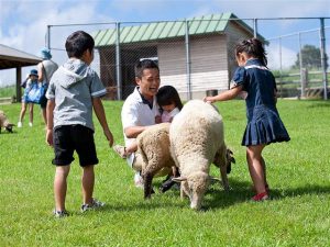 宮崎県の無料スポット・遊び場5選！牧場や博物館、コカ・コーラの工場見学など