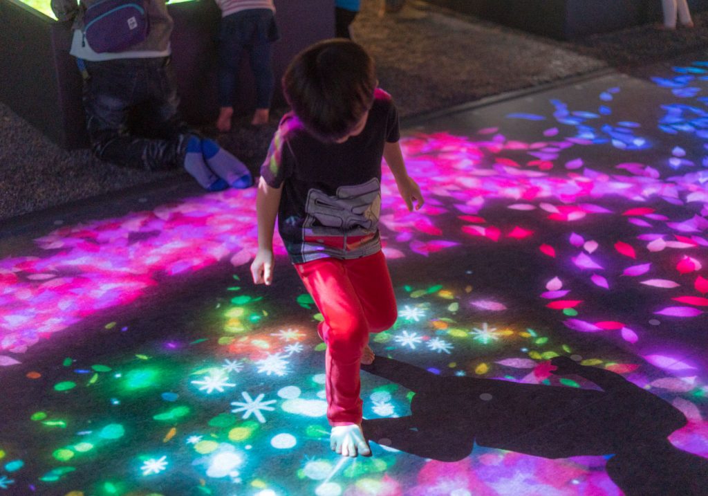 デジタル落ち葉遊び「DISCOVERY LEAF」／リトルプラネットららぽーと沼津（静岡県／沼津市）