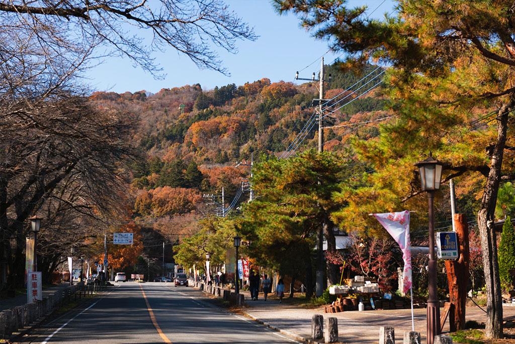 紅葉で色づく宝登山(埼玉県/秩父郡)