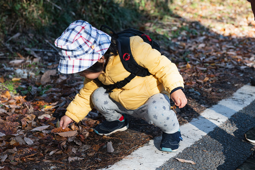 落ち葉を拾う子ども/宝登山(埼玉県/秩父郡)