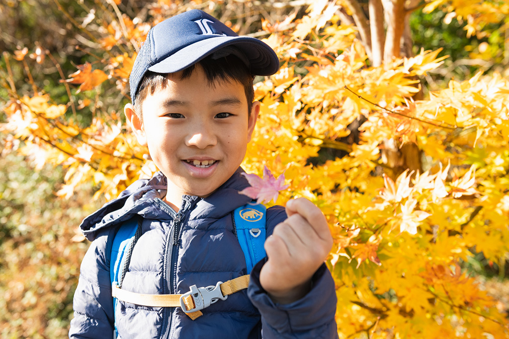 落ち葉を拾う子ども/宝登山(埼玉県/秩父郡)