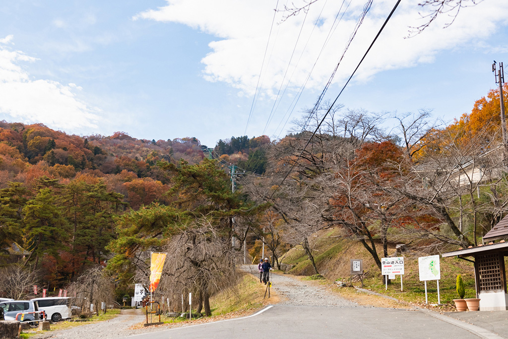宝登山(埼玉県/秩父郡)