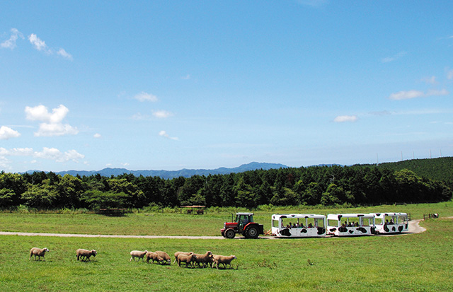 マザーファームツアーの様子/」マザー牧場(千葉県/富津市)