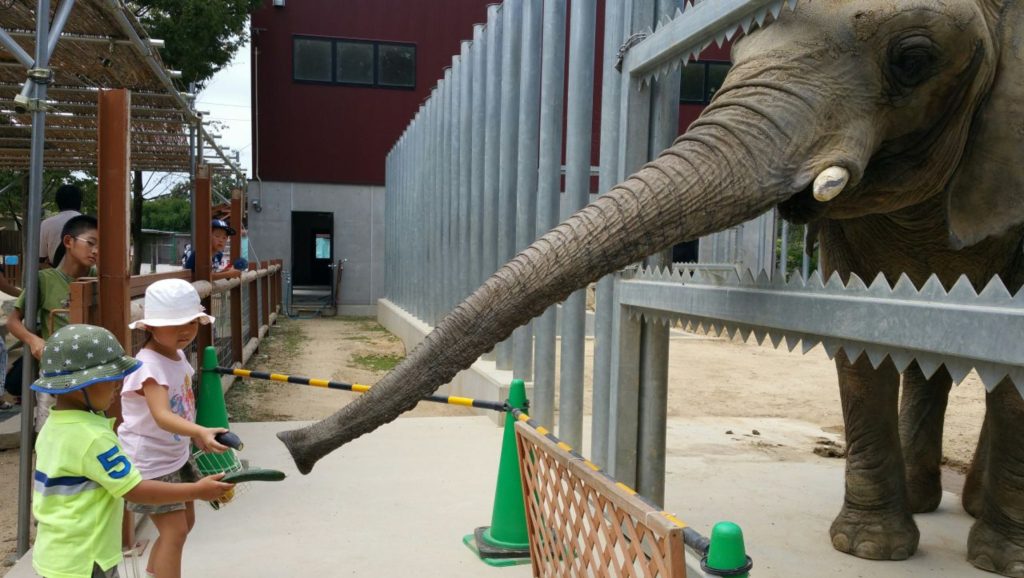 動物好きなら大満足間違いなし！しろとり動物園の魅力を紹介