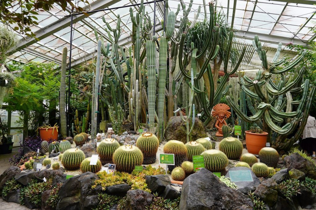 温室後館 中南米産植物温室/東山動植物園(愛知県/名古屋市)