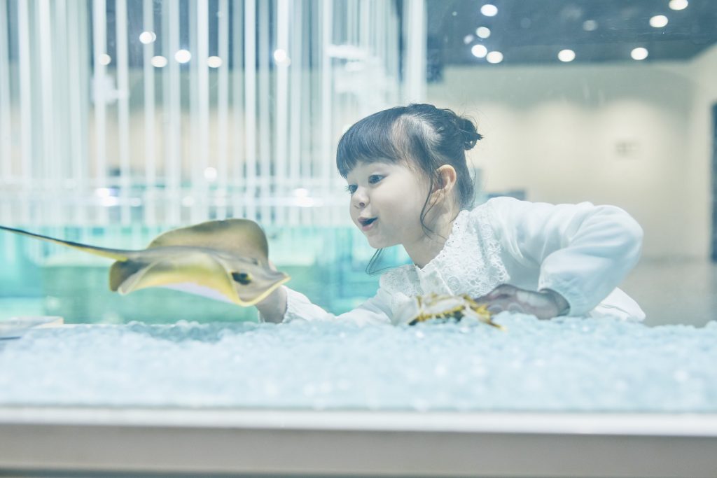 1階「わざにふれる」ゾーン/NIFREL(大阪府/吹田市)