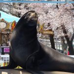 長野県の無料スポット・遊び場10選！動物園やダチョウ牧場、おやきの工場見学など