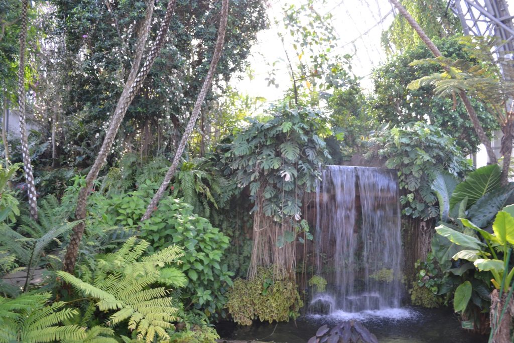 ガラス張りのドーム内/夢の島熱帯植物館(東京都/江東区)