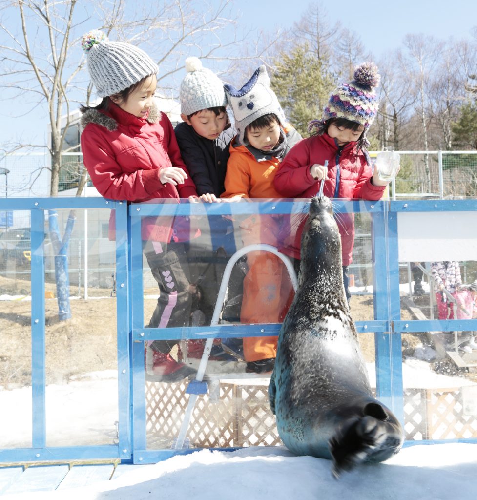 冬のふれあい動物広場 アザラシのエサやり/白樺リゾート 池の平 スノーパーク(長野県/立科町)