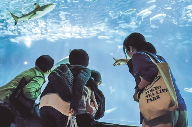 東京都葛西臨海水族園（江戸川区）
