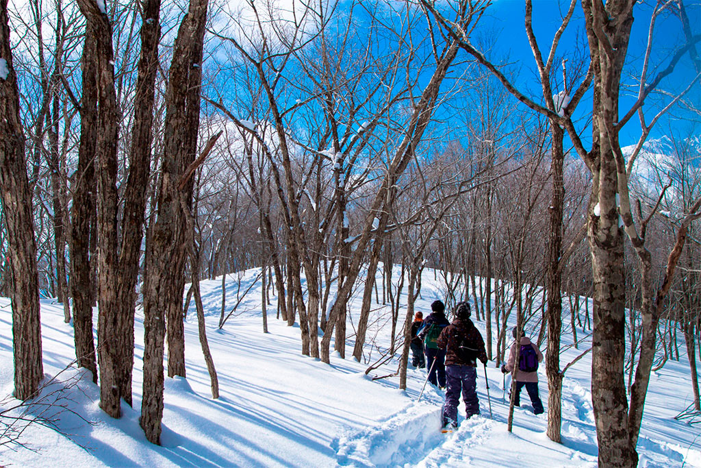 スノーシューでアニマルウォッチ体験/DEEP NATUREみなかみ(群馬県/利根郡みなかみ町)