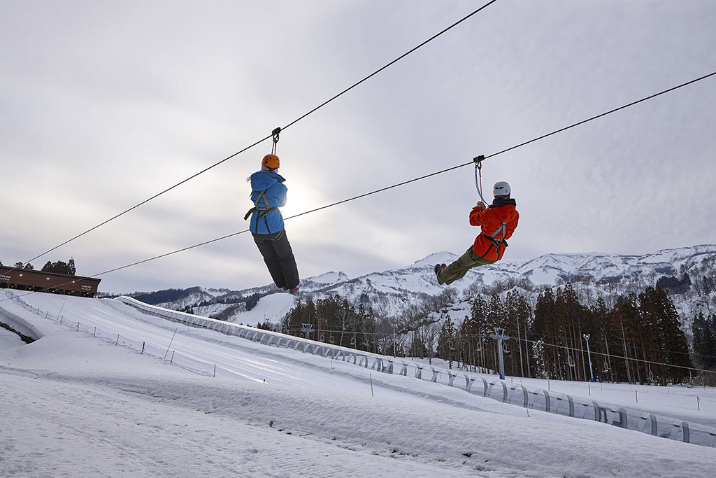 ジップライン/ロッテアライリゾート(新潟県/妙高市)