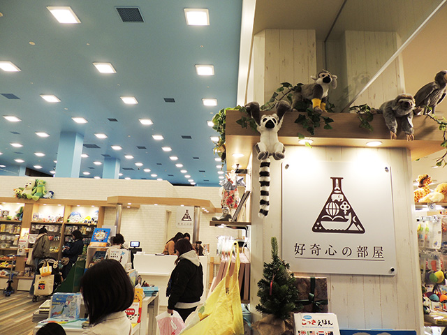 「好奇心の部屋」/南町田グランベリーパーク(東京都/町田市)