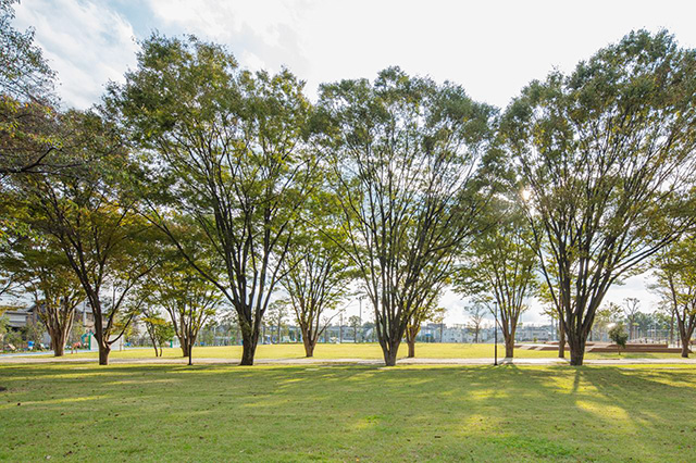 「さわやか広場」と「にぎわい広場」/南町田グランベリーパーク(東京都/町田市)