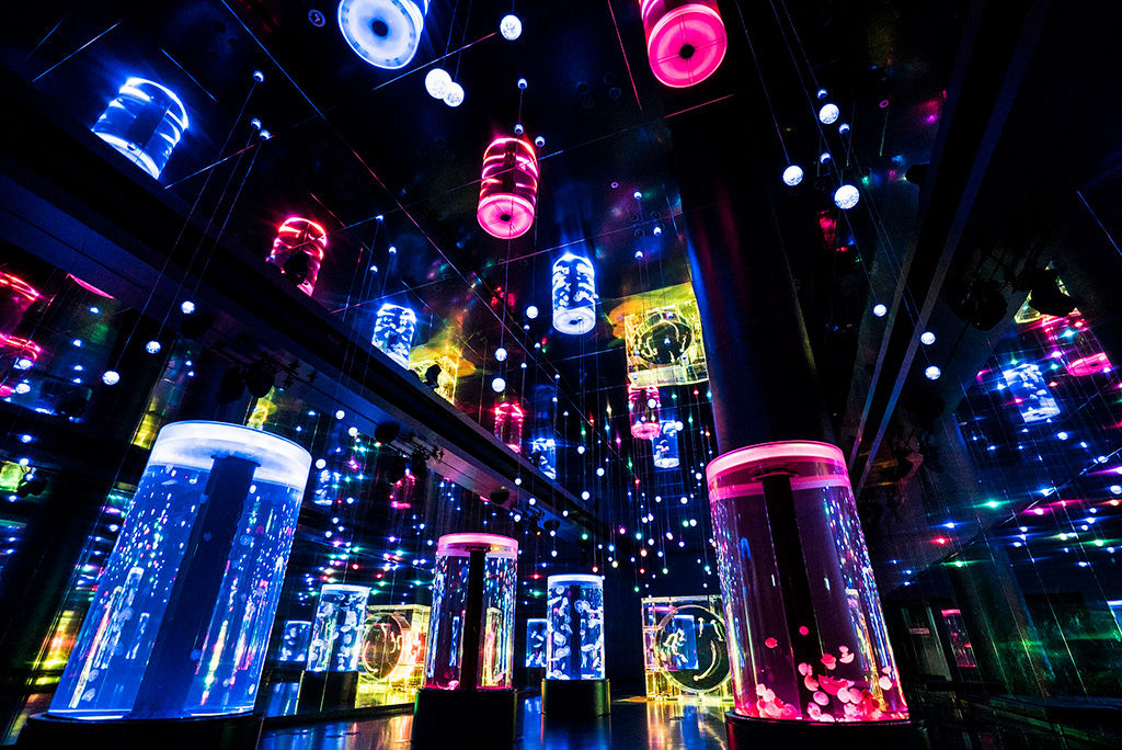 新感覚の水族館！アクアパーク品川の見所を紹介