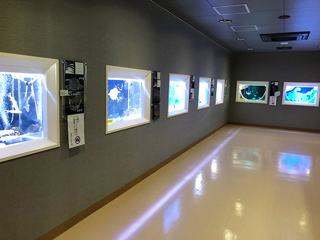 干潟交流館（佐賀県/鹿島市）