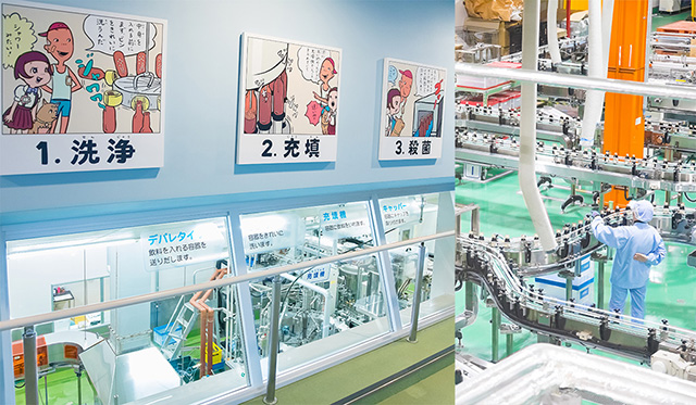 製造ライン/友桝飲料 工場見学（佐賀県/小城市）