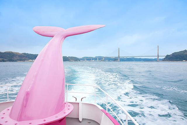 遊覧船のジーラ/マリンパル呼子（佐賀県／唐津市）