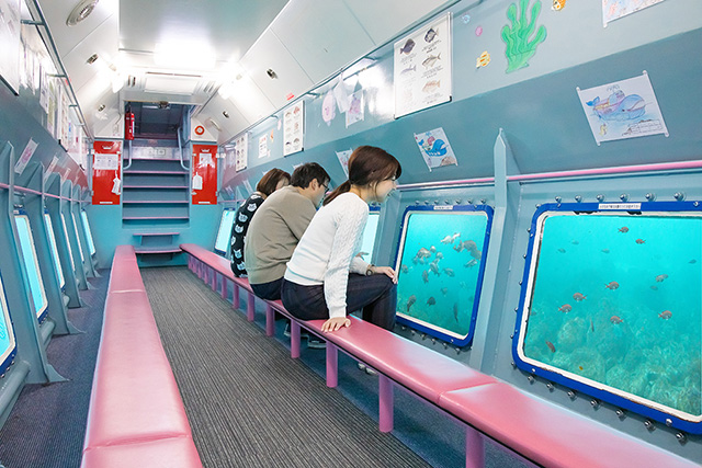 遊覧船のジーラの海中展望室/マリンパル呼子（佐賀県／唐津市）