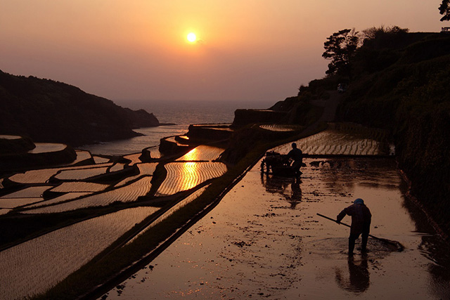 夕暮れの浜野浦の棚田（佐賀県／玄海町）