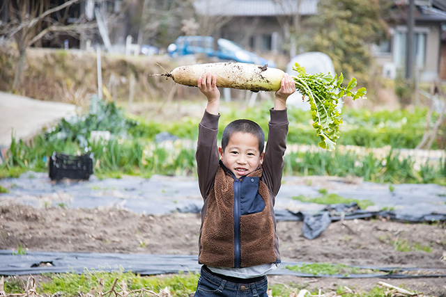 大根を収穫した子ども/農家民宿 具座（佐賀県／佐賀市）