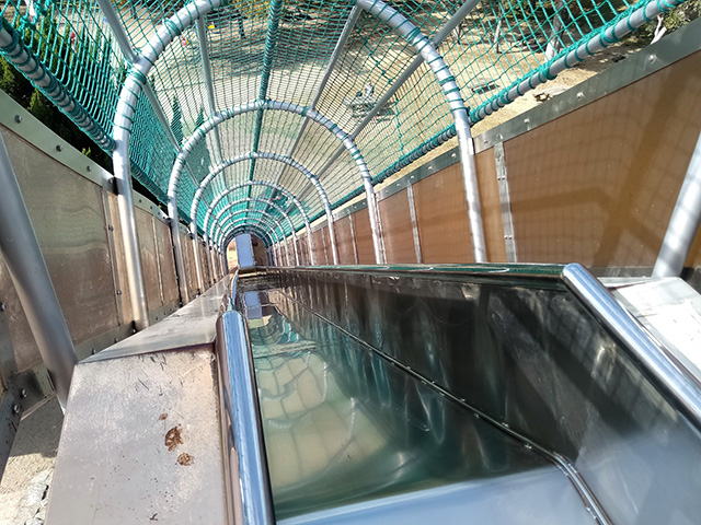 急降下滑り台【冒険ランド】/大泉緑地(大阪府/堺市)