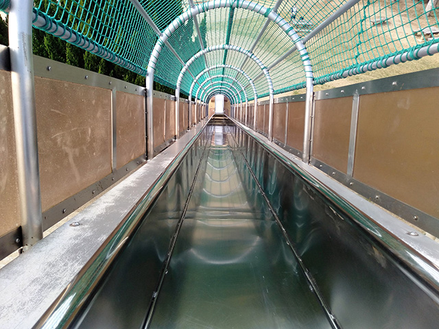 急降下滑り台【冒険ランド】/大泉緑地(大阪府/堺市)