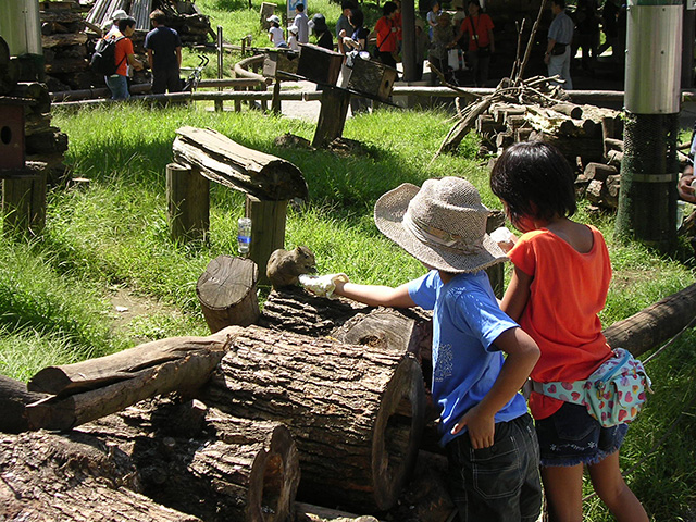 リスにエサをあげる子どもたち/町田リス園(東京都/町田市)